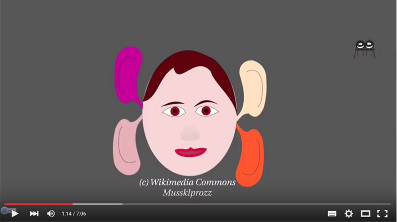 Das 4-Ohren-Modell in einem einfachen Video erklärt